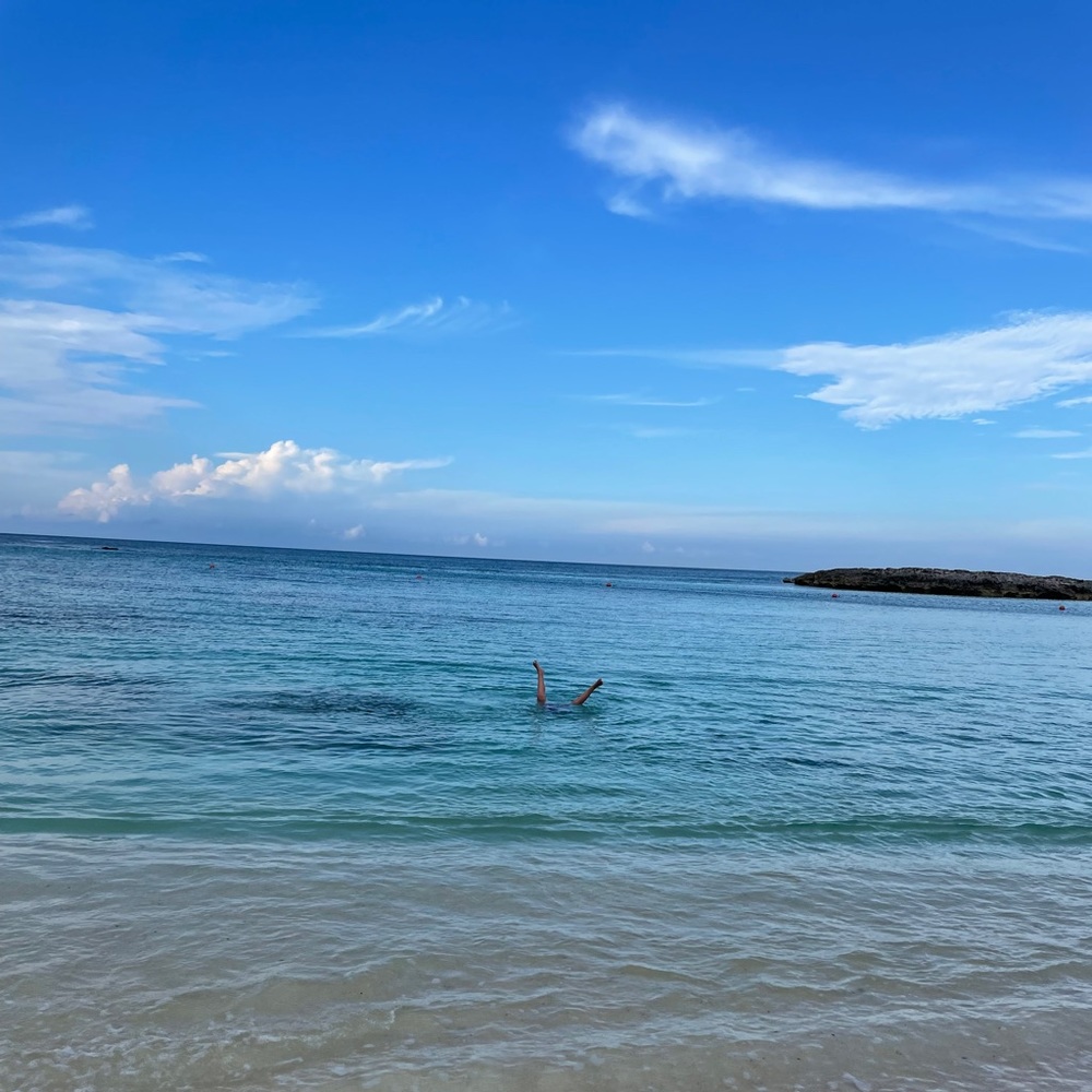 Meet your Posher, Lisa